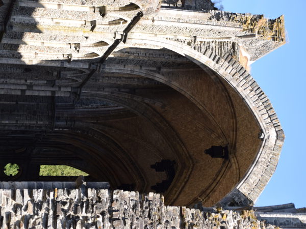 Abbaye_de_Villers