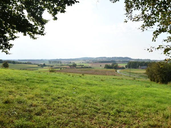 Flanders_Fields_September19_2020
