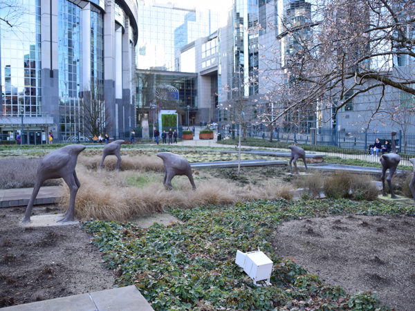 museum_of_natural_history_brussels