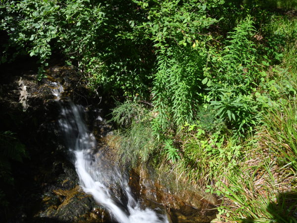 Ardennes_Bayehon_July2020