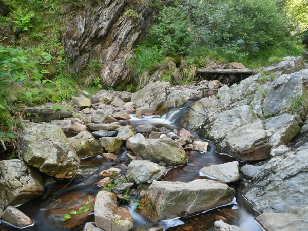 Ardennes_Bayehon_July2020
