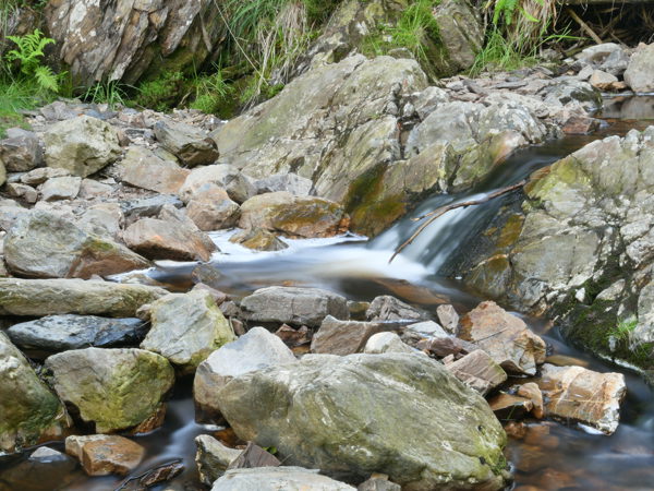 Ardennes_Bayehon_July2020