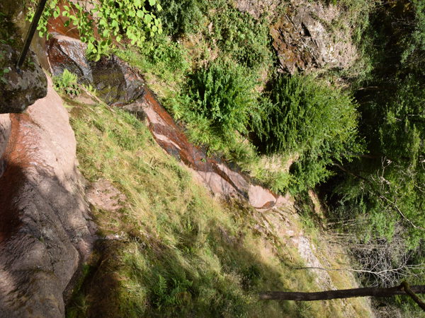 Ardennes_Ninglingspo_July2020