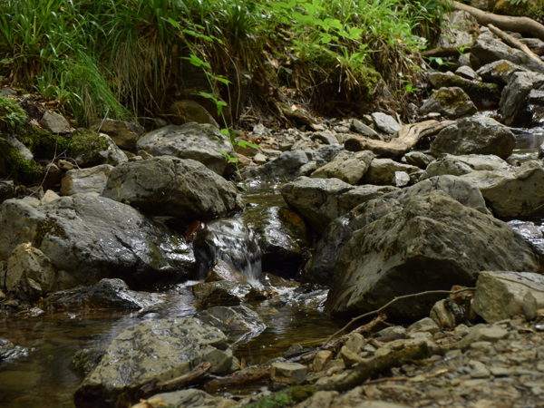 Ardennes_Ninglingspo_July2020