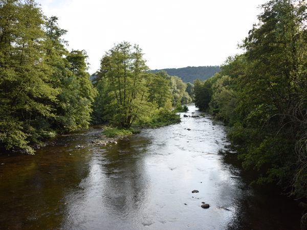 Ardennes_Ninglingspo_July2020