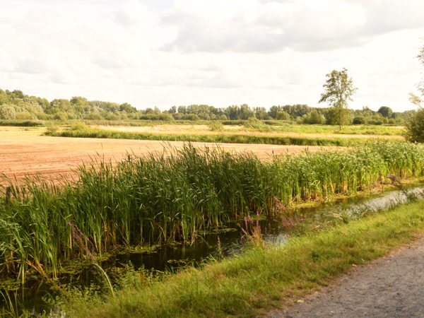Bourgoyen_26Jul2020
