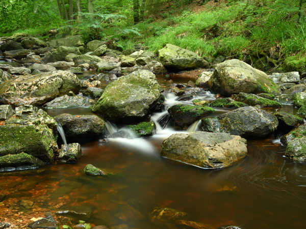 Hoegne_Ardennes_01Aug2020