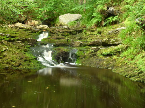 Hoegne_Ardennes_01Aug2020