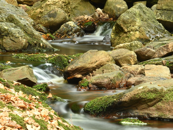 Hoegne_Ardennes_01Aug2020