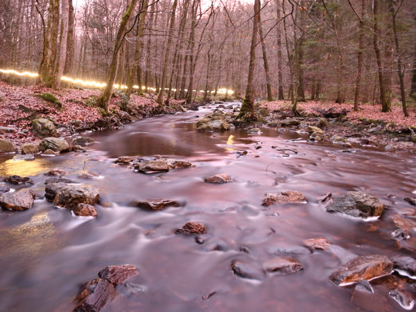 Hoegne_Dec_19_2020