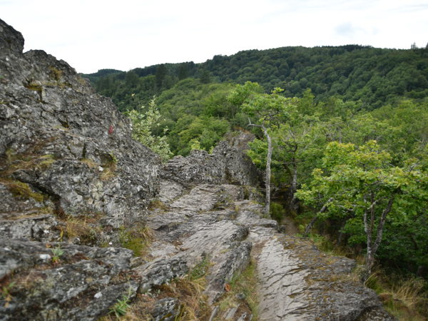Le_Herou_Ardennes_25July2020