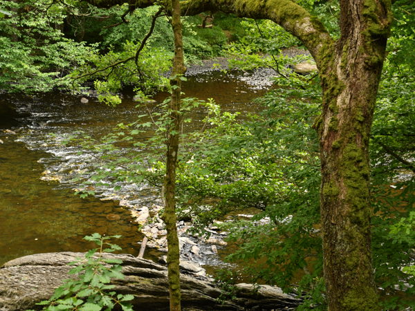 Le_Herou_Ardennes_25July2020