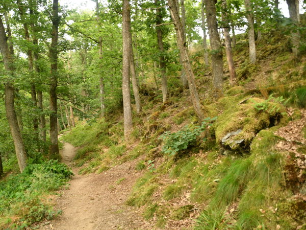Le_Herou_Ardennes_25July2020
