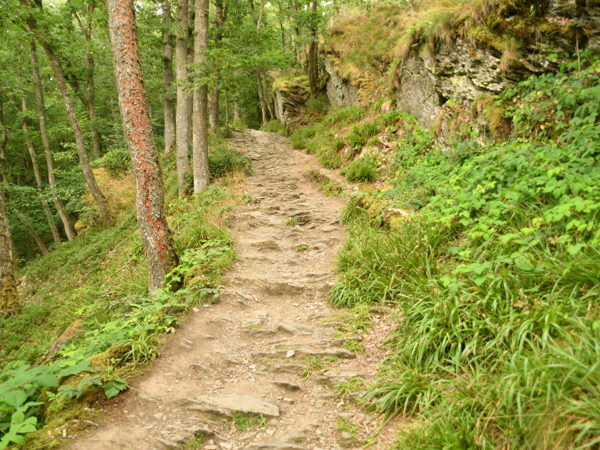 Le_Herou_Ardennes_25July2020