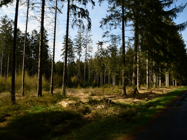 Nature