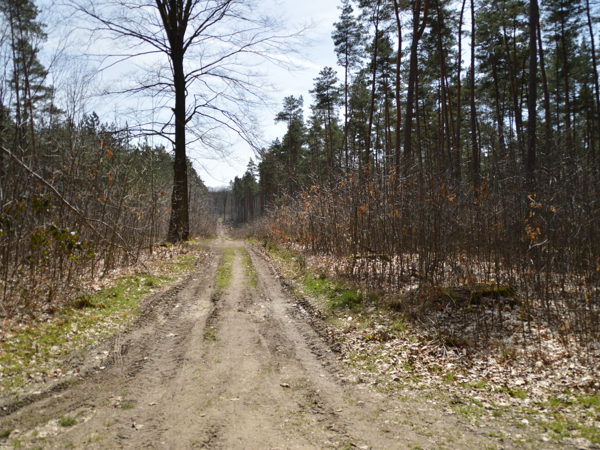 Woods-04Apr15