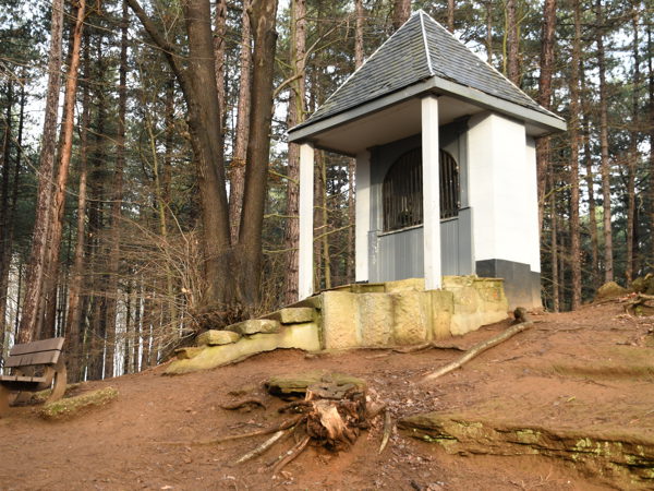 Woods_Everberg_01Jan2021