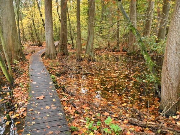 Zoete_Waters_Nov_01_2020