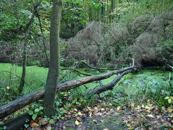 Zoete_Waters_Nov_01_2020